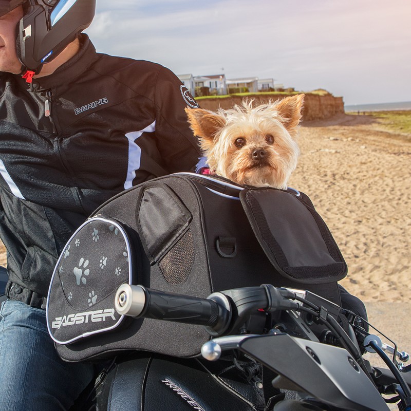 Sac de transport pour mettre un chien idéal pour la moto